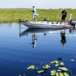 Loxahatchee Wildlife Refuge thumbnail