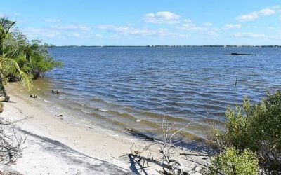 Indian River Fishing: Complete Guide and Fishing Report