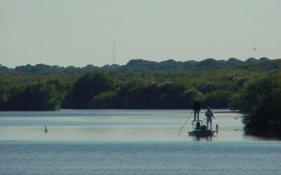 New Smyrna Beach, FL