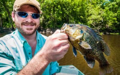 Panfishing in Florida: Everything You Need To Know About Panfish