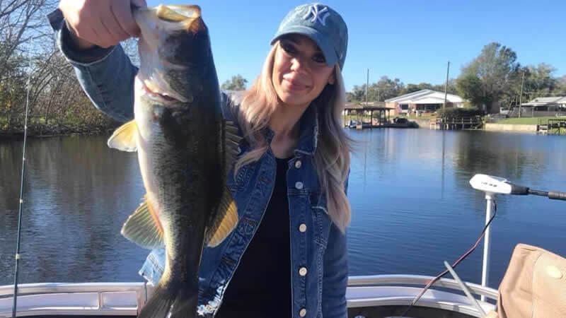 pontoon tours fl