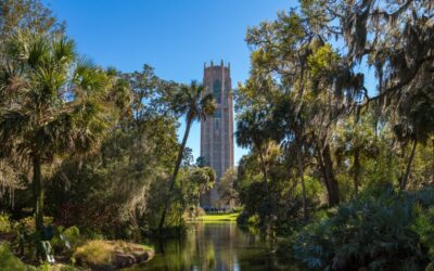 Fishing Guides Lake Wales Fl
