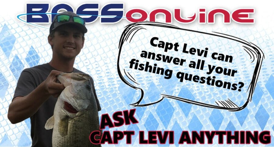 Capt Levi Questions Capt Levi Questions