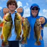 Alligator Alley 35 thumbnail