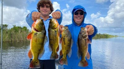 Everglades Peacock bass fishing