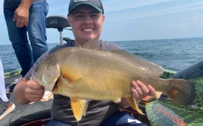 Freshwater Drum