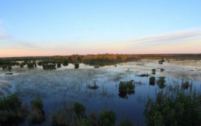 Everglades Package Fishing Trips