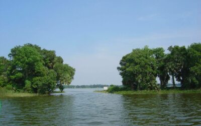 Lake Carlton