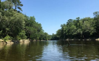 Withlacoochee River