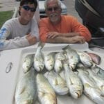 Crystal River thumbnail