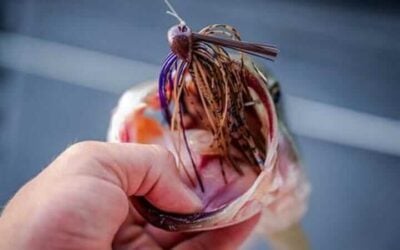 How Does a Swim Jig Enhance Bass Fishing Success?
