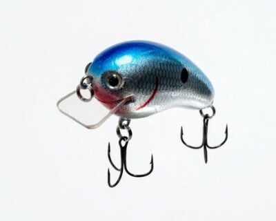 How to Fish a Crankbait? A Complete Guide! 1 How to fish a crankbait