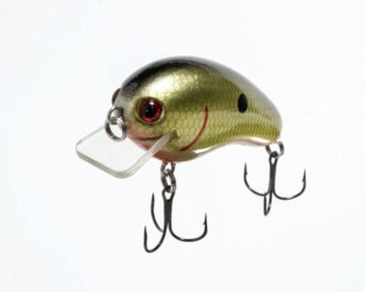 How to Fish a Crankbait? A Complete Guide! 2 Lipless crankbaits in shad patterns