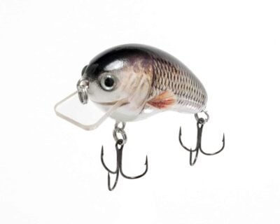 How to Fish a Crankbait? A Complete Guide! 3 Lipless crankbait dive deep and catch big bass