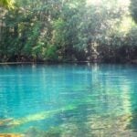 Wacissa River thumbnail