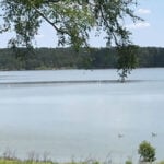 Javors Lucas Lake thumbnail