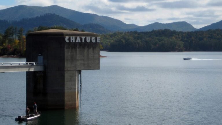 What a gorgeous catch at Lake Chatuge!