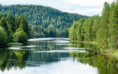 Fishing in Freshwater