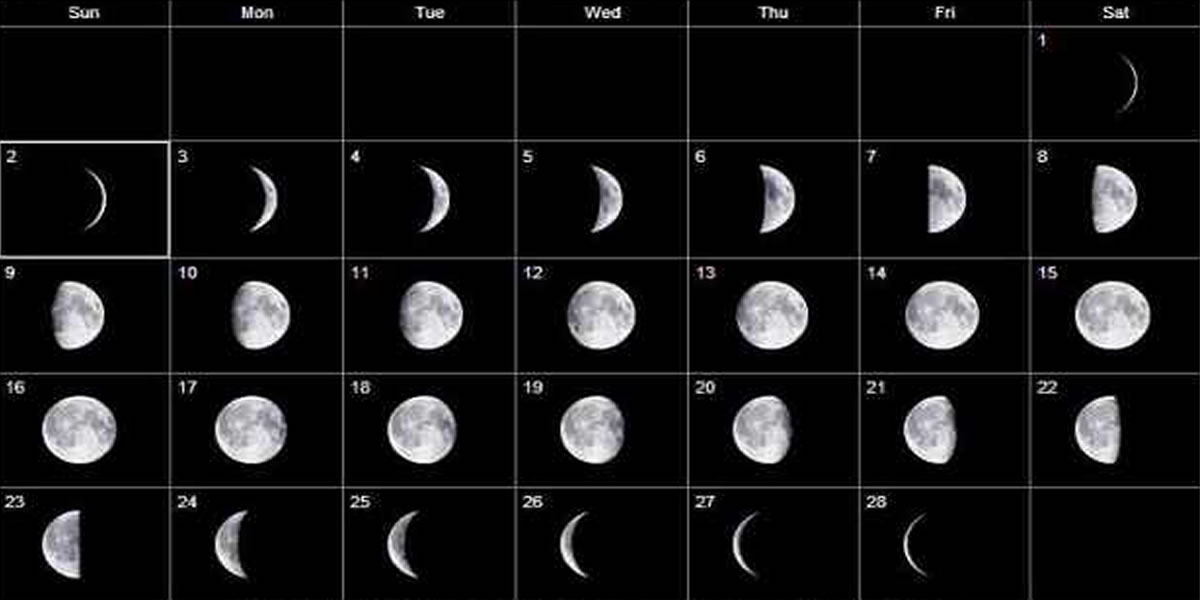 Maximizing Your Catch: Bass Fishing Moon Phase Tips 1 Maximizing Your Catch: Bass Fishing Moon Phase Tips