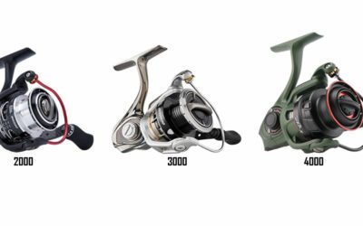 Fishing Tips for Bass