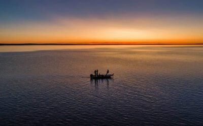 Arkansas Fishing Guide