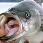 Clearwater Lake thumbnail