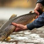 Lake Ontario thumbnail