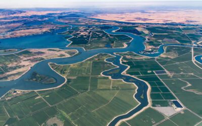 California Delta