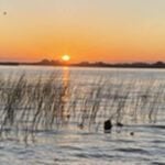 California Delta thumbnail