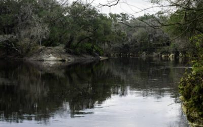 Suwannee River
