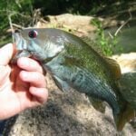 Lake Wildwood thumbnail