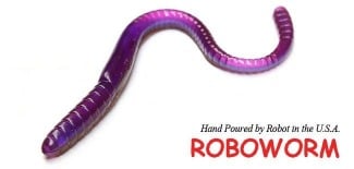 Robo Worms