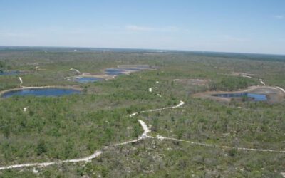 Catfish Creek