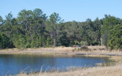 Fisher Lake