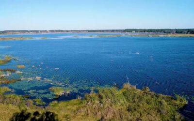 Kings Lake