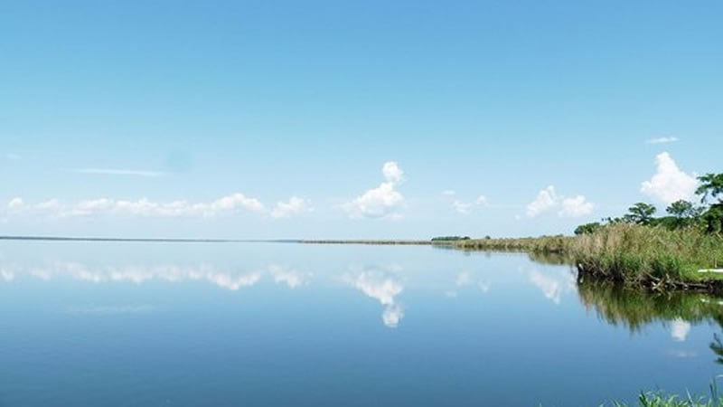 Lake Jesup photo