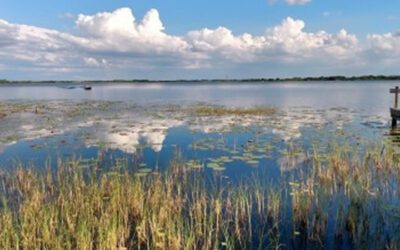 Lake Lowery
