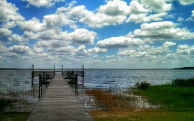 Lake Yale, FL