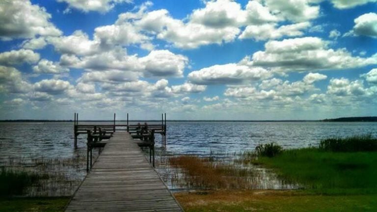 Lake Yale Florida