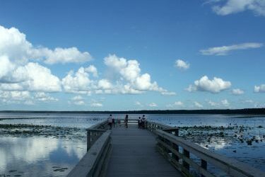 Newnan Lake Florida