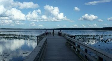 Newnan Lake 40 Newnan Lake