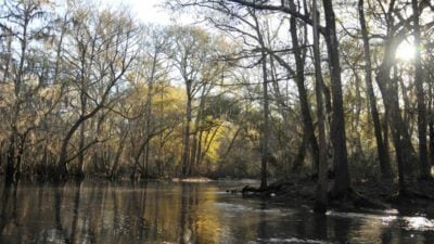 Santa Fe River 38 Santa Fe River