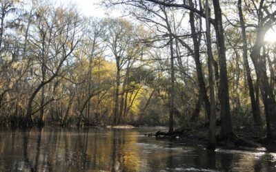 Santa Fe River