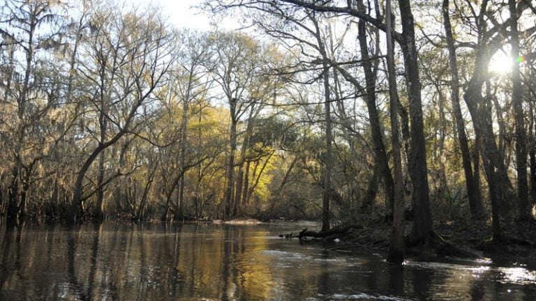 Santa Fe River Fl