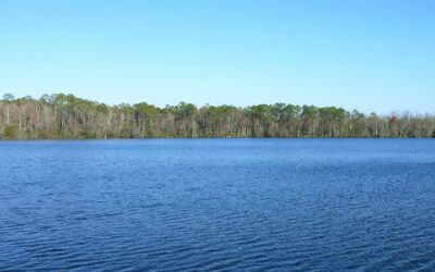 Waters Lake