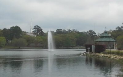Lake Ella Florida