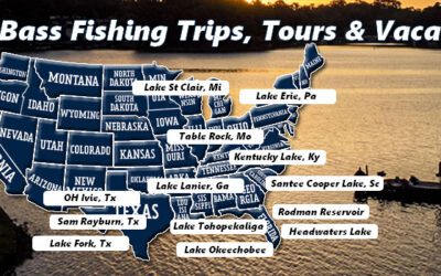 Bass Fishing Trips