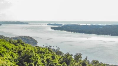 Fishing Guntersville - Fishing reports for Guntersville while fishing in Guntersville Alabama