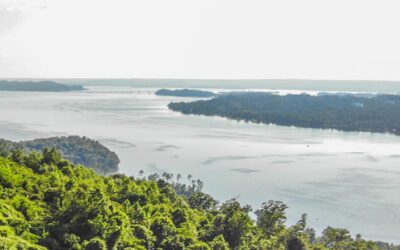 Fishing in Guntersville Alabama