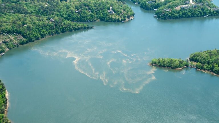 Fishing in Tuscaloosa Alabama